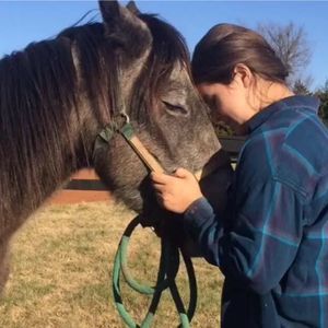 Meet your Posher, Meredith